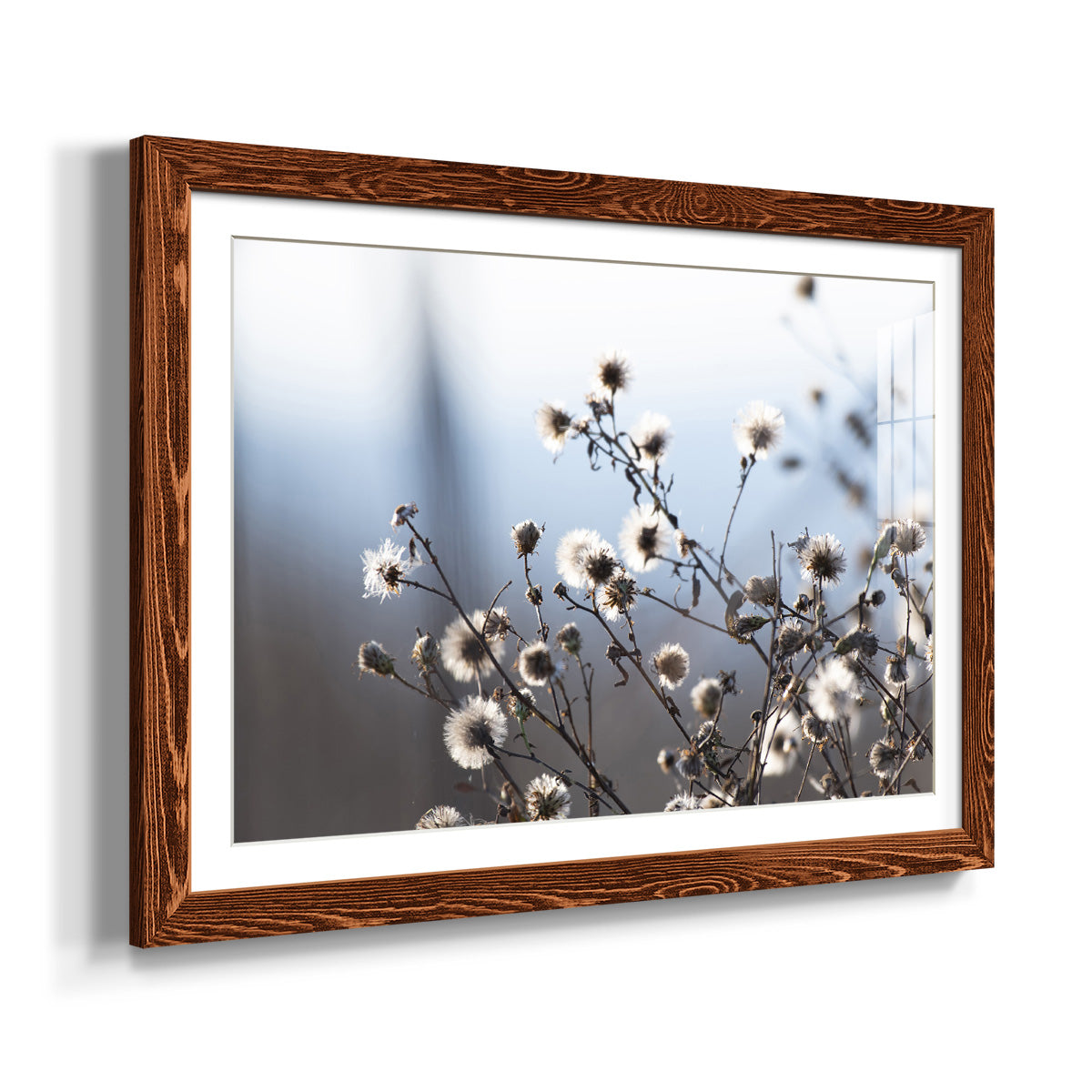 Spring Fluff-Premium Framed Print - Ready to Hang