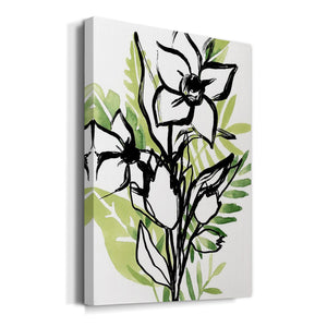 Tropical Sketchbook III Premium Gallery Wrapped Canvas - Ready to Hang