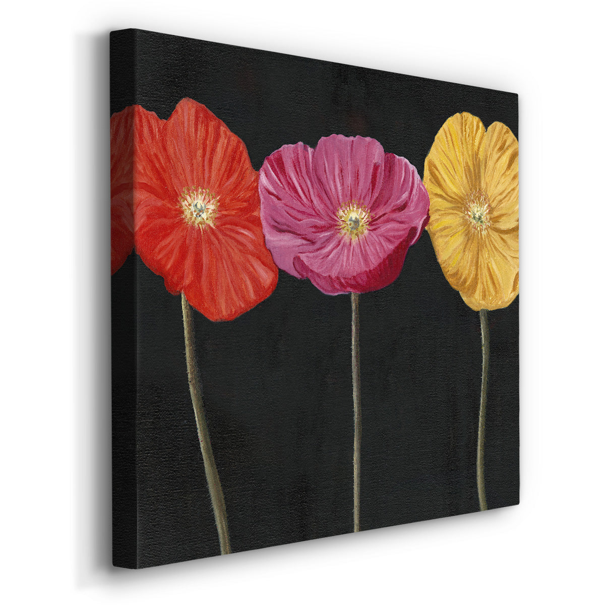 Poppy Trio II-Premium Gallery Wrapped Canvas - Ready to Hang