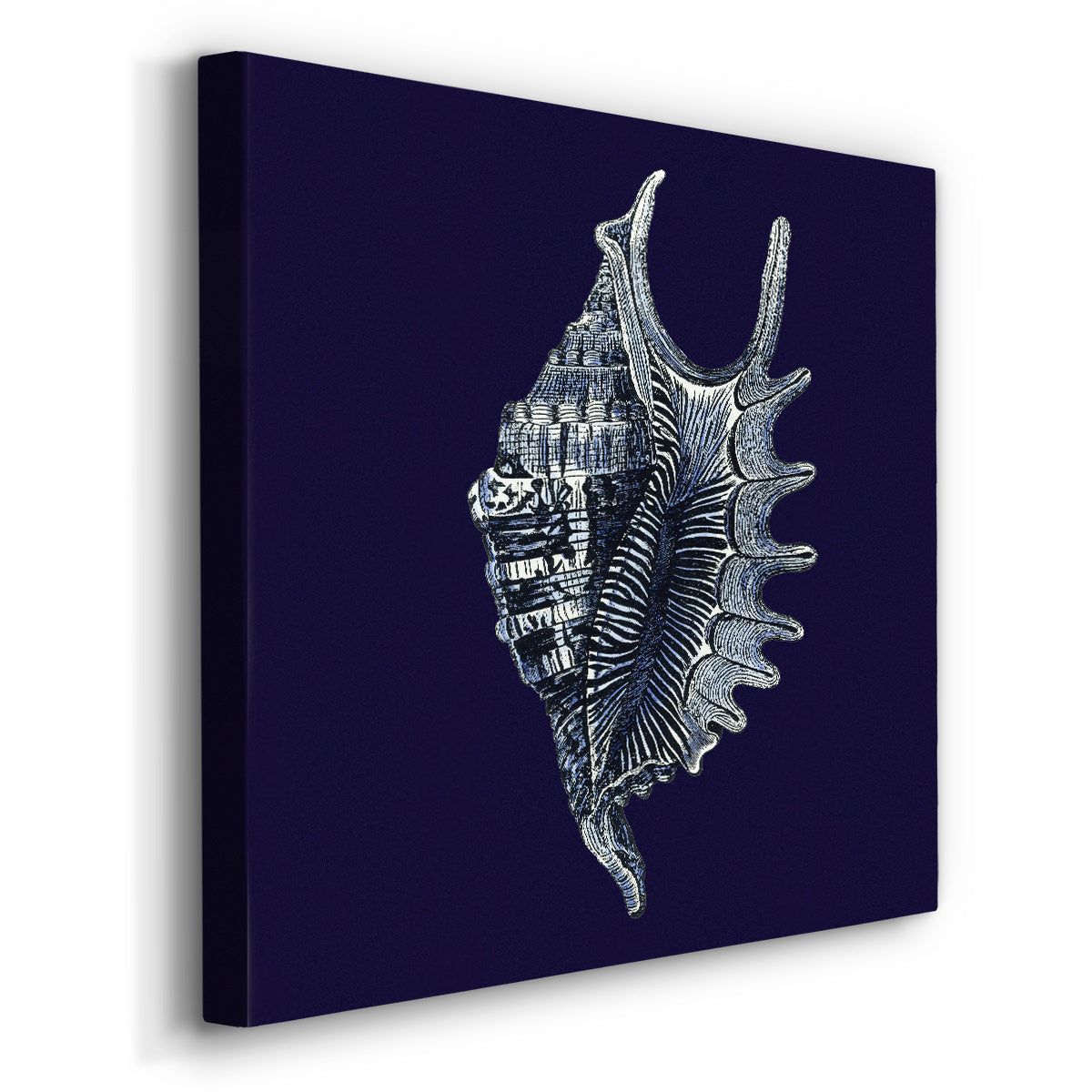 Indigo Shells VI-Premium Gallery Wrapped Canvas - Ready to Hang