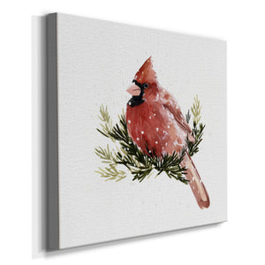 Cardinal with Snow II-Premium Gallery Wrapped Canvas - Ready to Hang