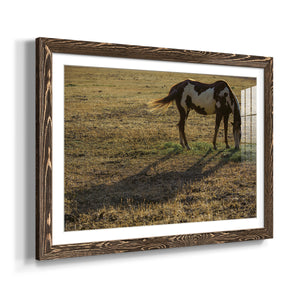 Long Shadow-Premium Framed Print - Ready to Hang