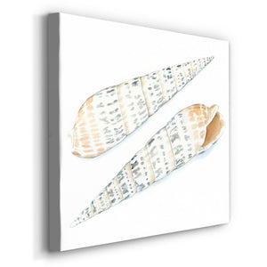 Watercolor Shells IX-Premium Gallery Wrapped Canvas - Ready to Hang