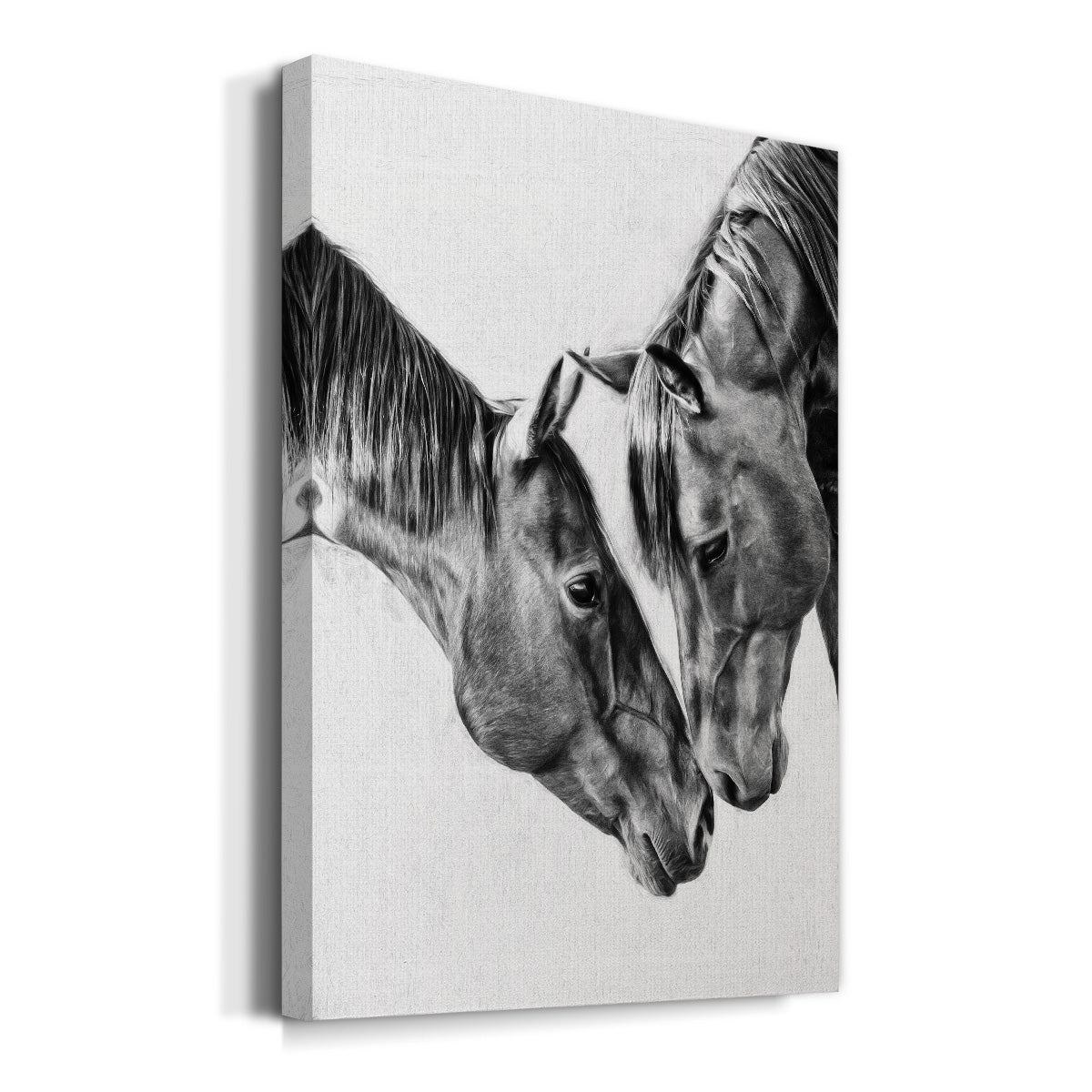 Equine Portrait VI Premium Gallery Wrapped Canvas - Ready to Hang