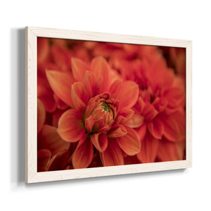 Spring Fire-Premium Framed Canvas - Ready to Hang