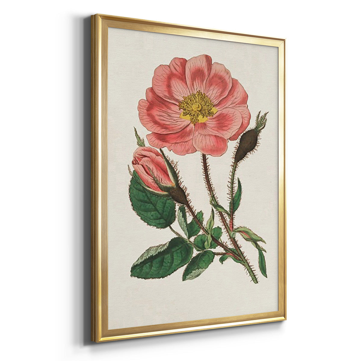 Pink Floral Mix IX Premium Framed Print - Ready to Hang