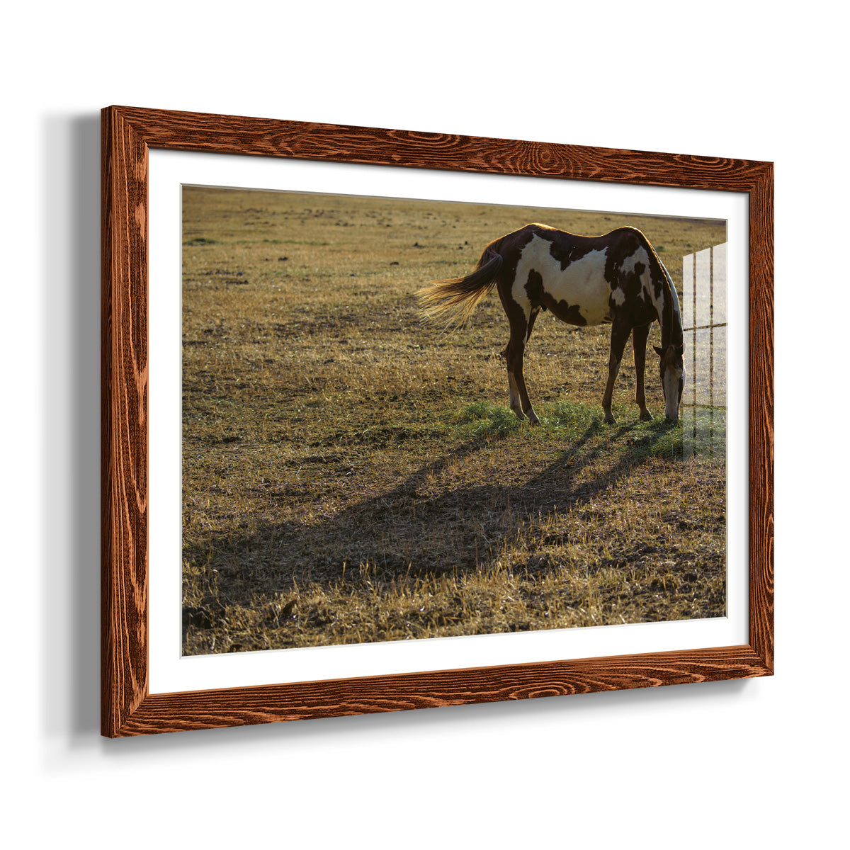 Long Shadow-Premium Framed Print - Ready to Hang