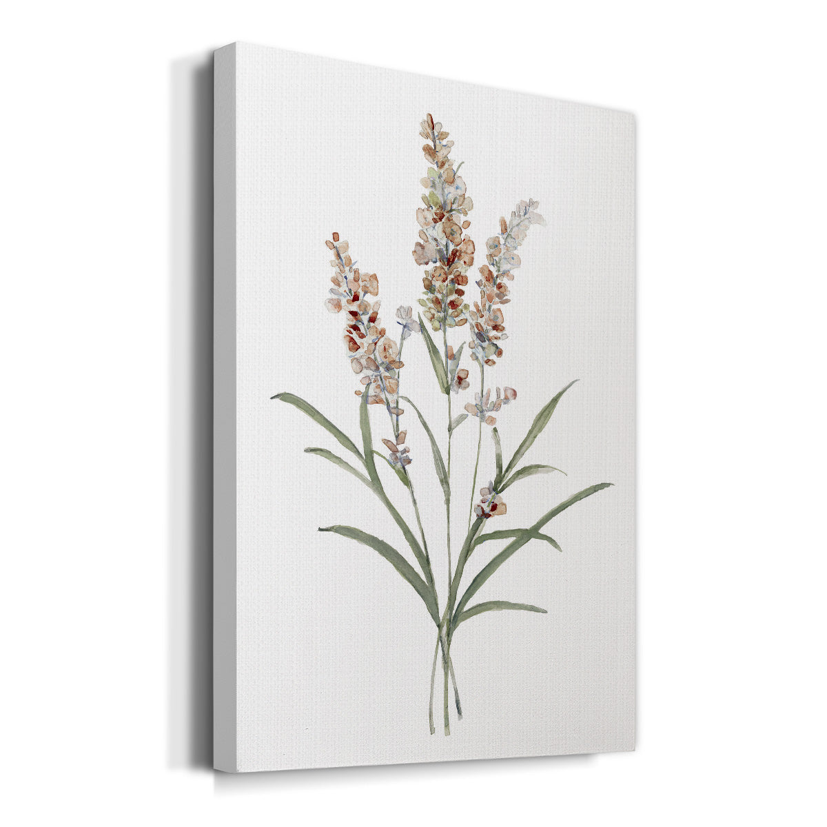 Dainty Botanical I Premium Gallery Wrapped Canvas - Ready to Hang