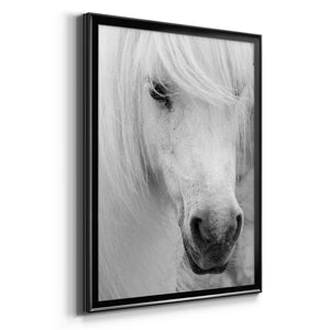 Island Pony I Premium Framed Print - Ready to Hang