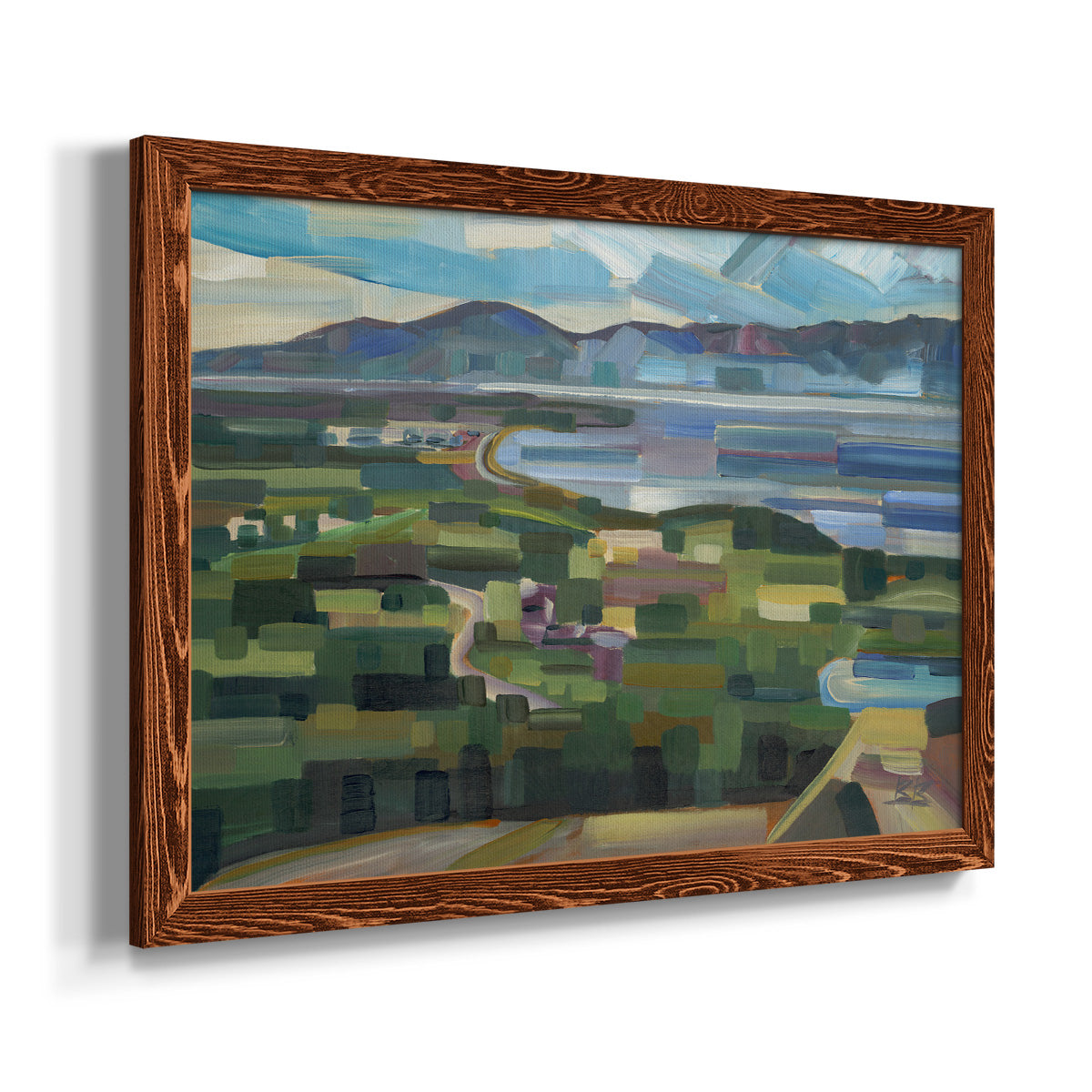 View From Goose Park-Premium Framed Canvas - Ready to Hang