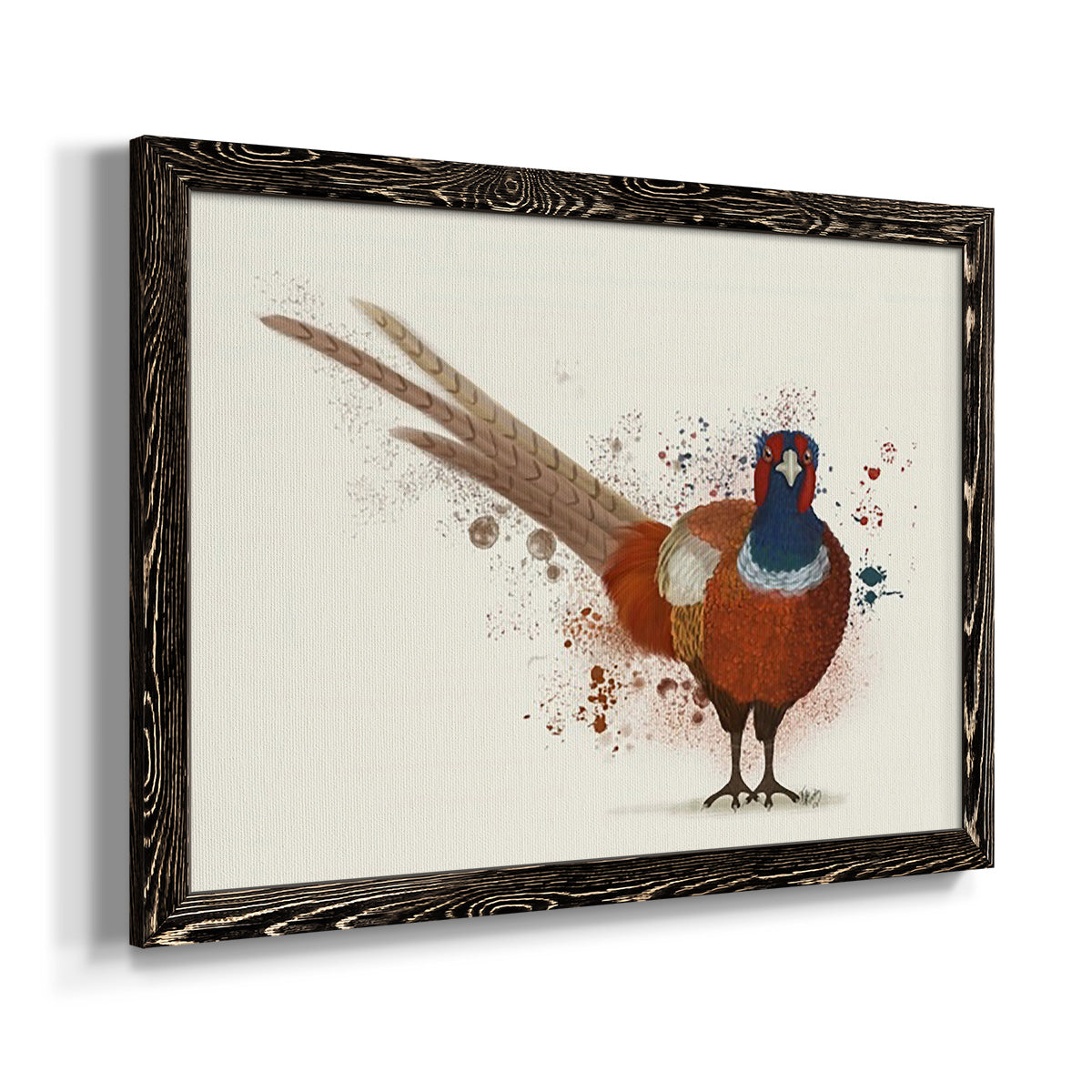 Pheasant Splash 7-Premium Framed Canvas - Ready to Hang