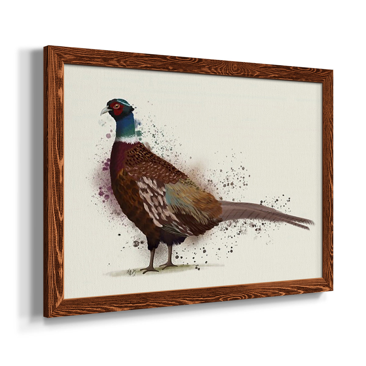 Pheasant Splash 1-Premium Framed Canvas - Ready to Hang