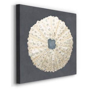 Shell on Slate VII-Premium Gallery Wrapped Canvas - Ready to Hang