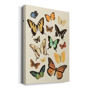 Collected Flutter I Premium Gallery Wrapped Canvas - Ready to Hang