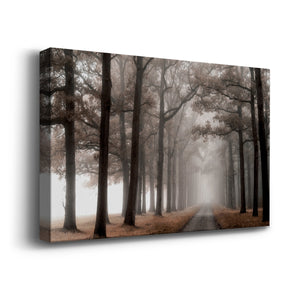 Misty Road - Canvas Art Print