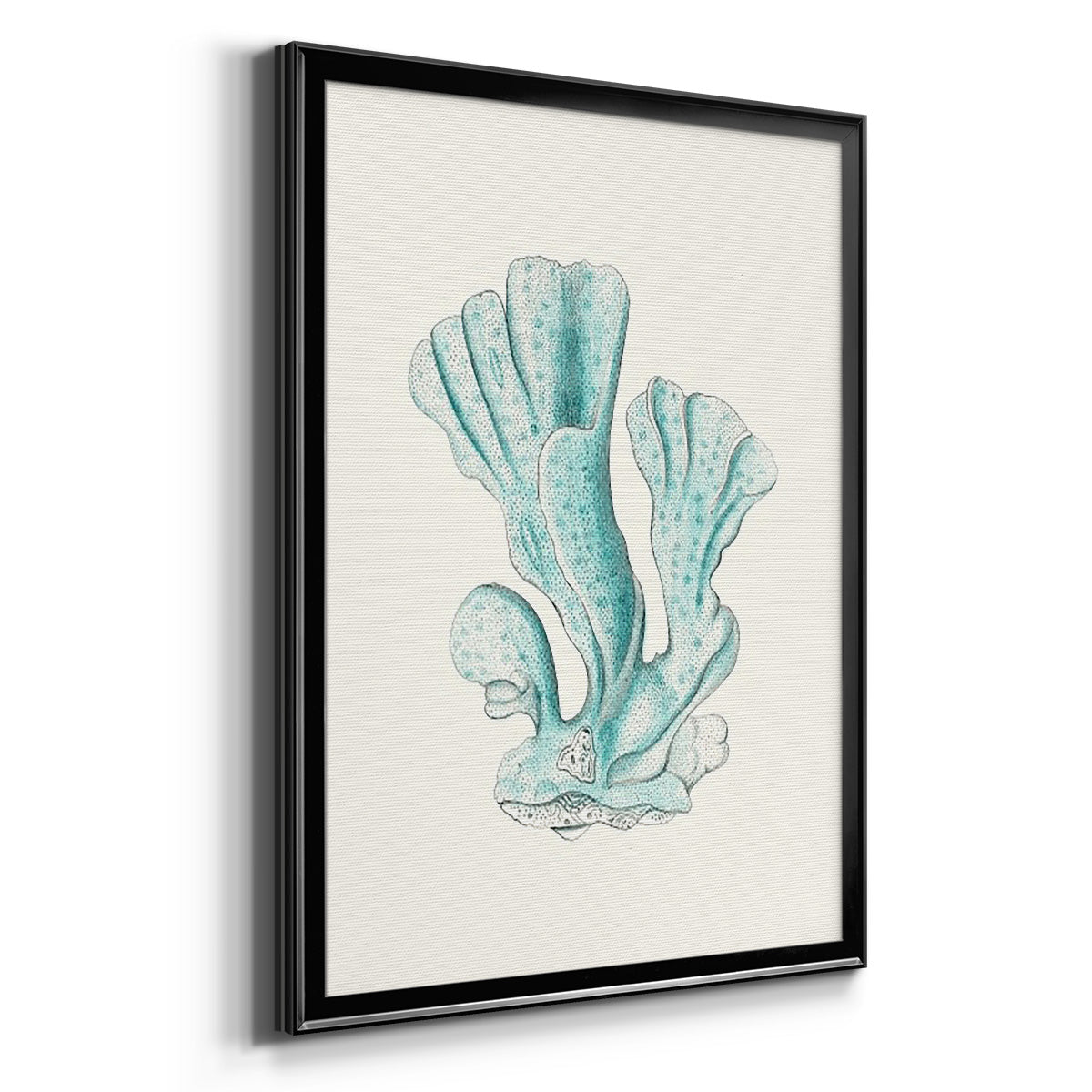 Antique Coastal Coral XI Premium Framed Print - Ready to Hang