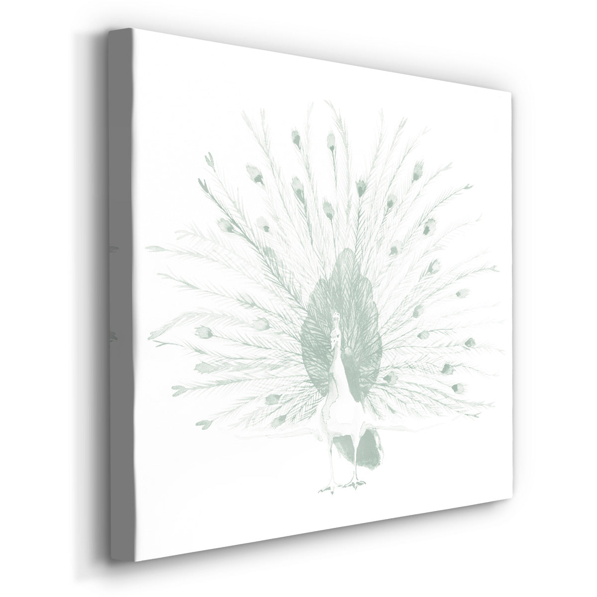 Sage Peacock II-Premium Gallery Wrapped Canvas - Ready to Hang