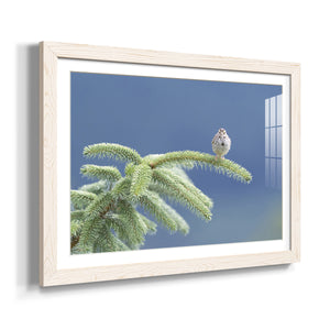 Evergreen Perch-Premium Framed Print - Ready to Hang