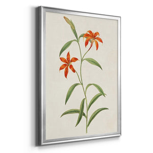 Flowers of the Seasons III Premium Framed Print - Ready to Hang