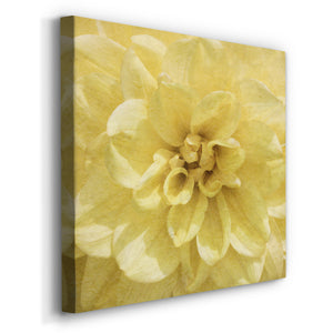 Wall Flower II-Premium Gallery Wrapped Canvas - Ready to Hang
