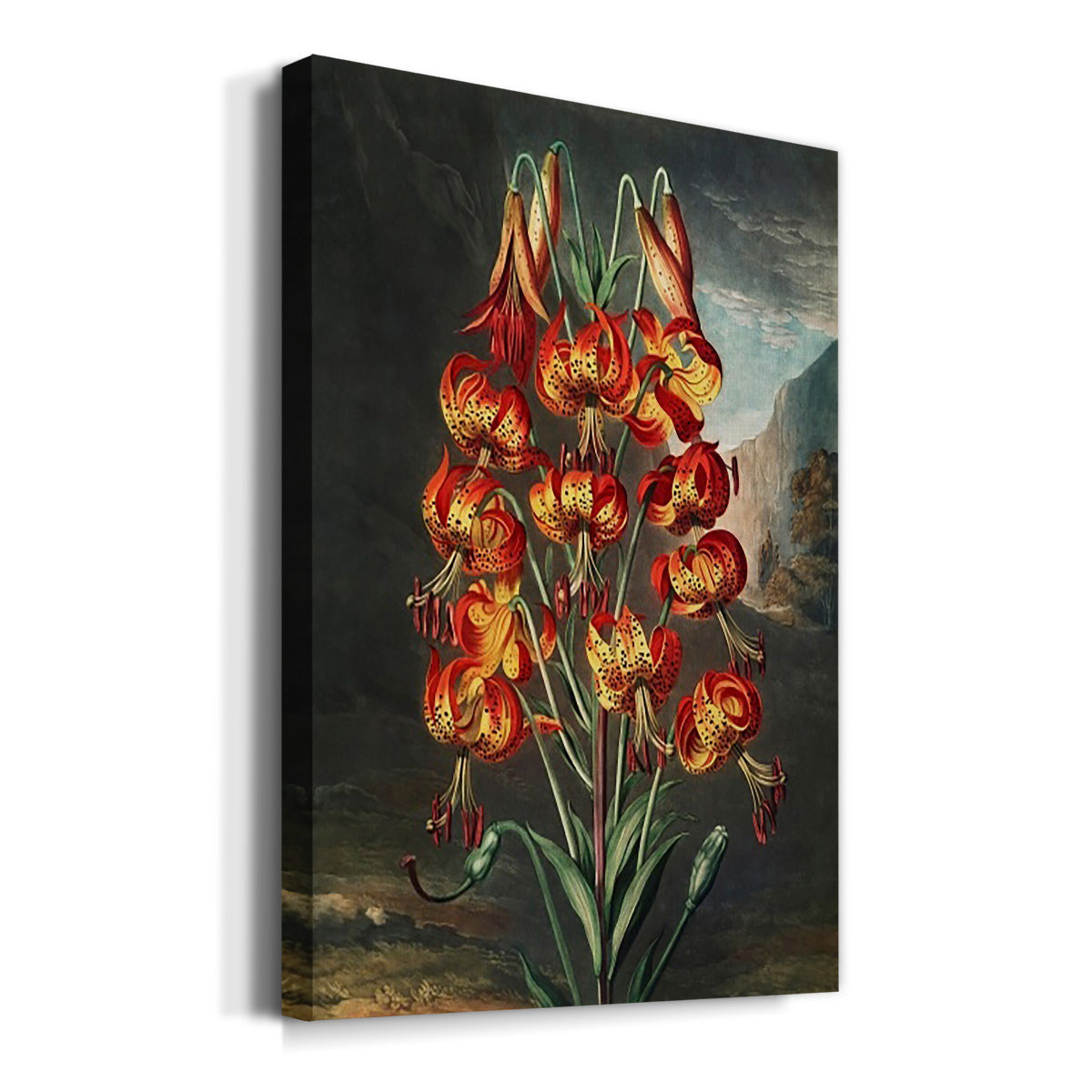 Temple of Flora III Premium Gallery Wrapped Canvas - Ready to Hang