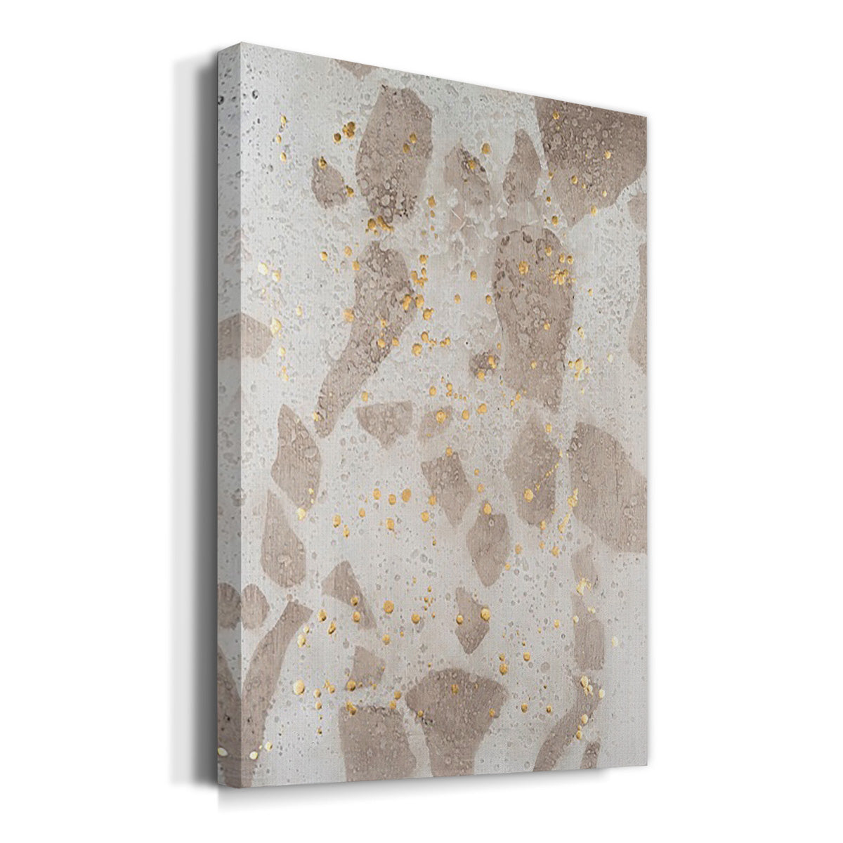Chordata II Premium Gallery Wrapped Canvas - Ready to Hang