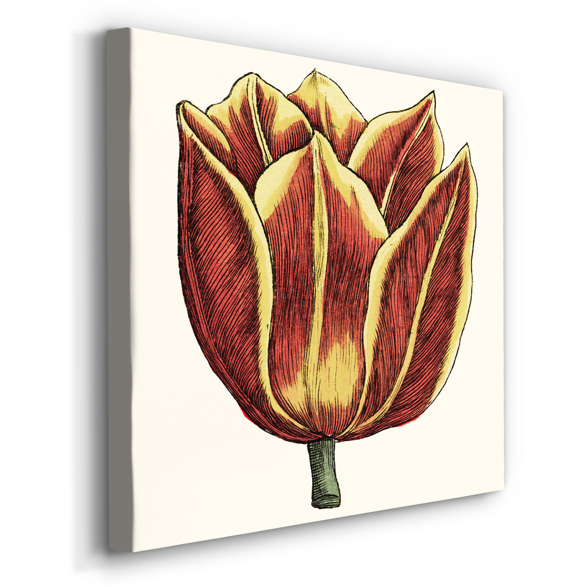 Tulip Garden IV-Premium Gallery Wrapped Canvas - Ready to Hang