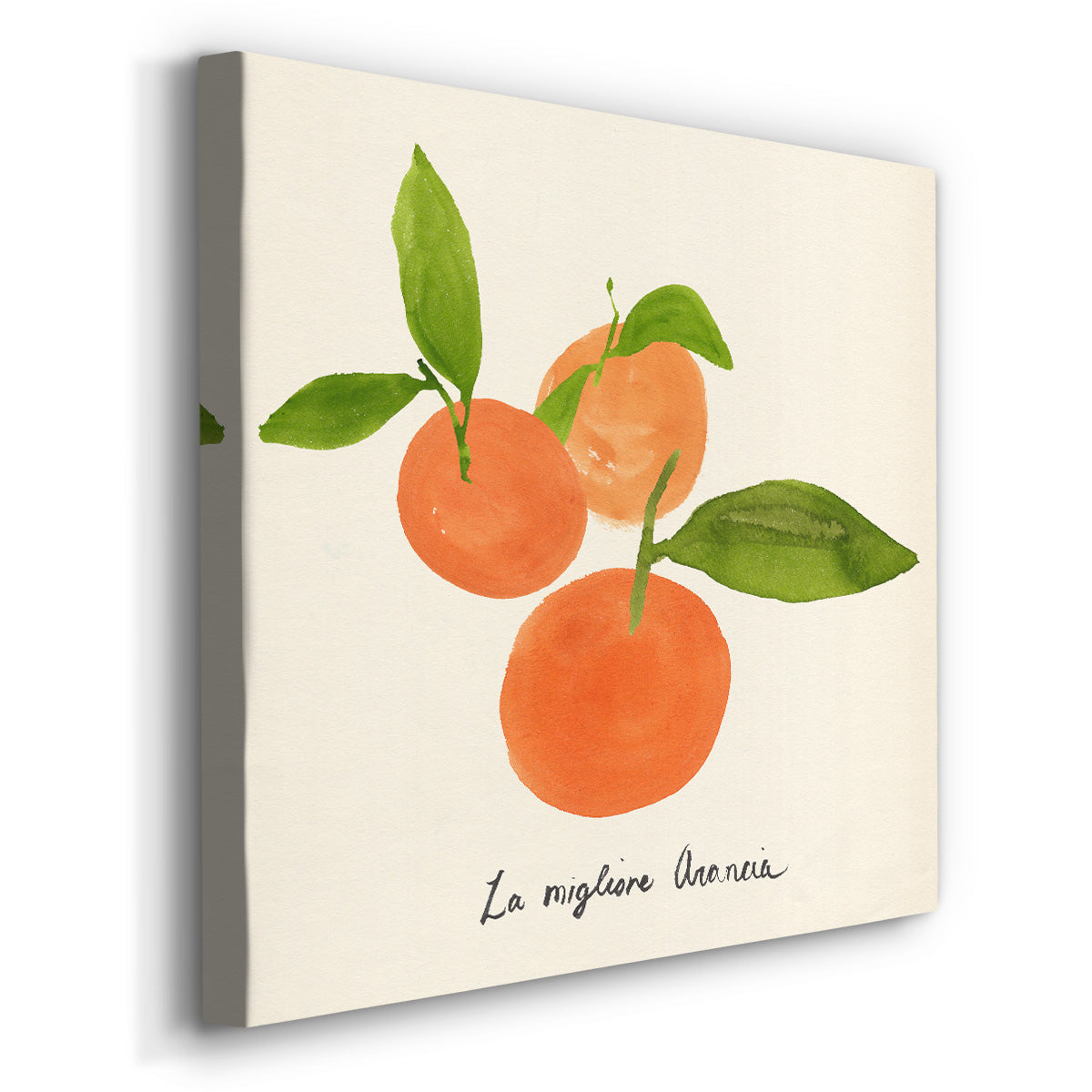 Citrus Trattare II-Premium Gallery Wrapped Canvas - Ready to Hang