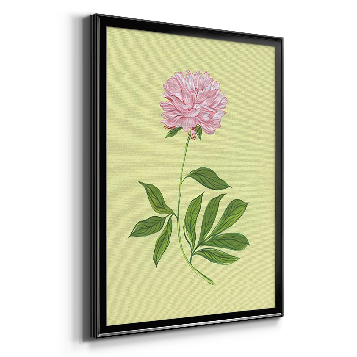 Peonies in Yellow I Premium Framed Print - Ready to Hang