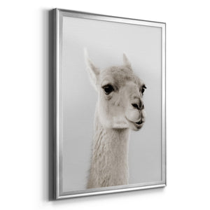 Soft Llama Premium Framed Print - Ready to Hang