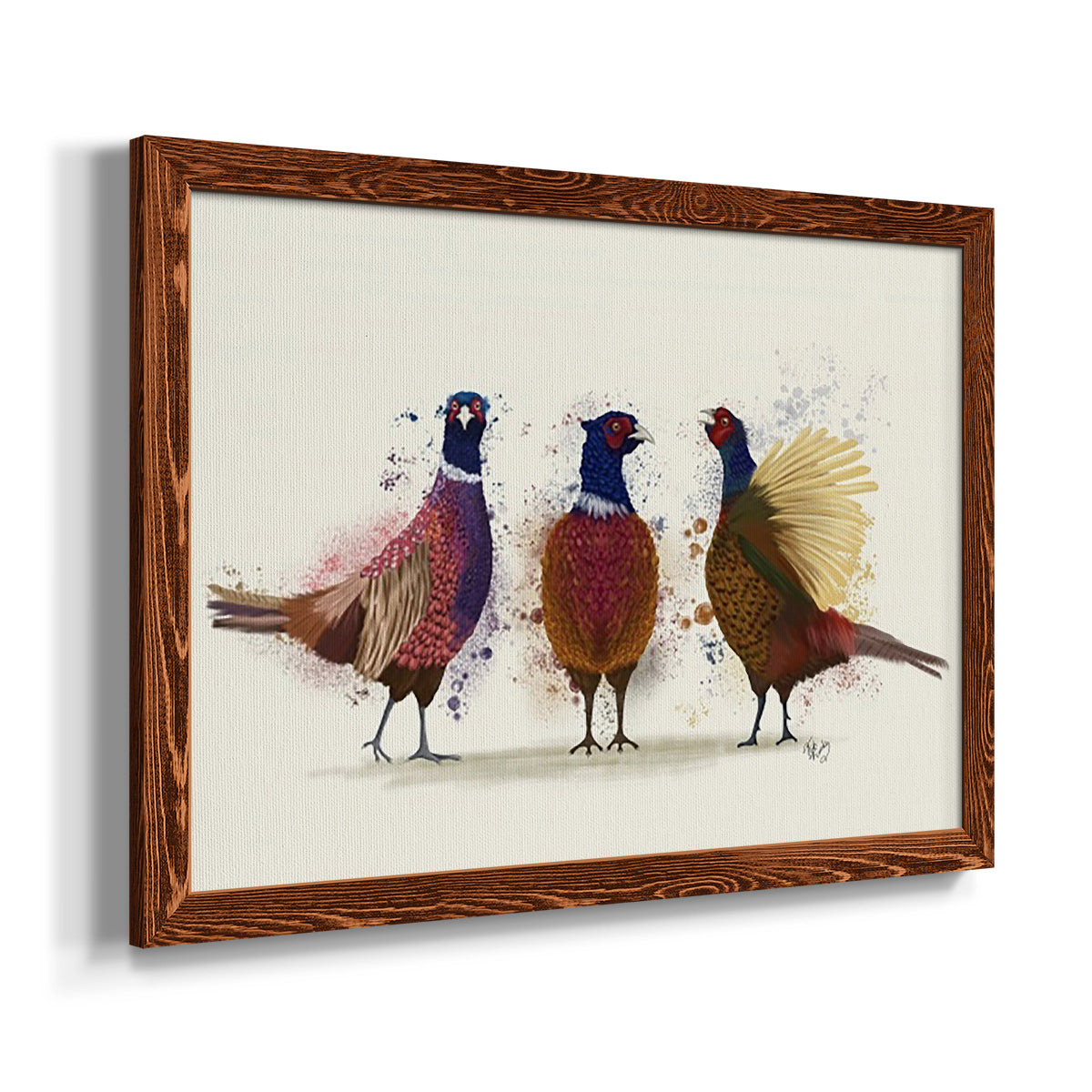 Pheasant Trio-Premium Framed Canvas - Ready to Hang