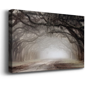 Timeless Plantation Drive Premium Gallery Wrapped Canvas - Ready to Hang