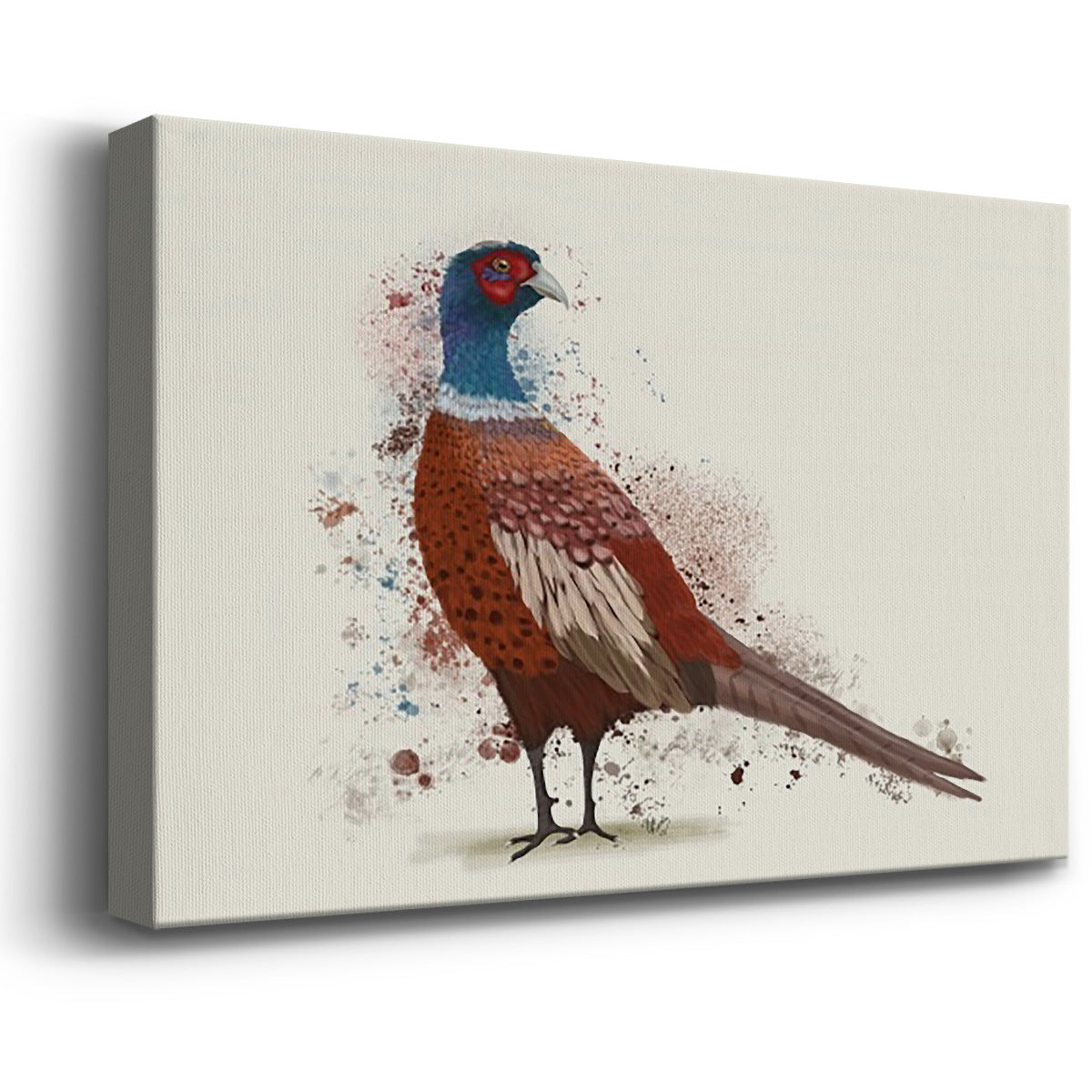 Pheasant Splash 5 Premium Gallery Wrapped Canvas - Ready to Hang