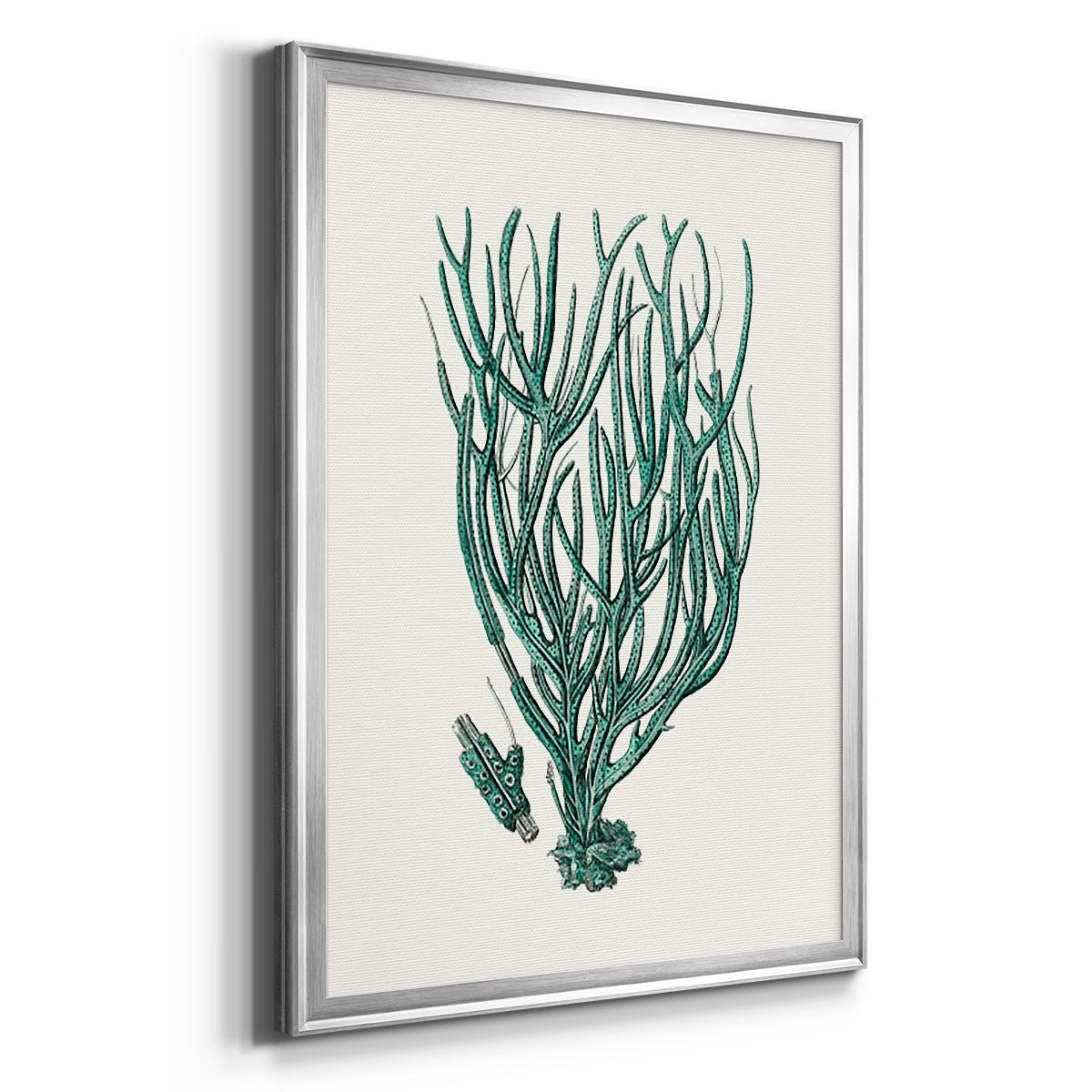 Antique Coastal Coral VIII Premium Framed Print - Ready to Hang