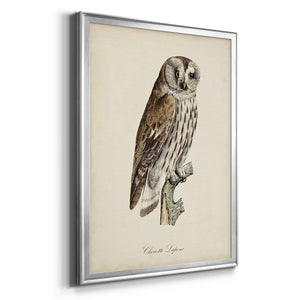 French Owls III Premium Framed Print - Ready to Hang