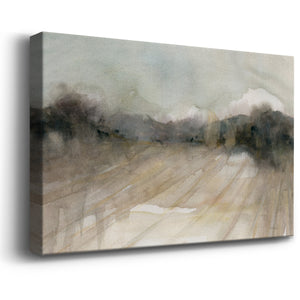 Abstract Field Premium Gallery Wrapped Canvas - Ready to Hang