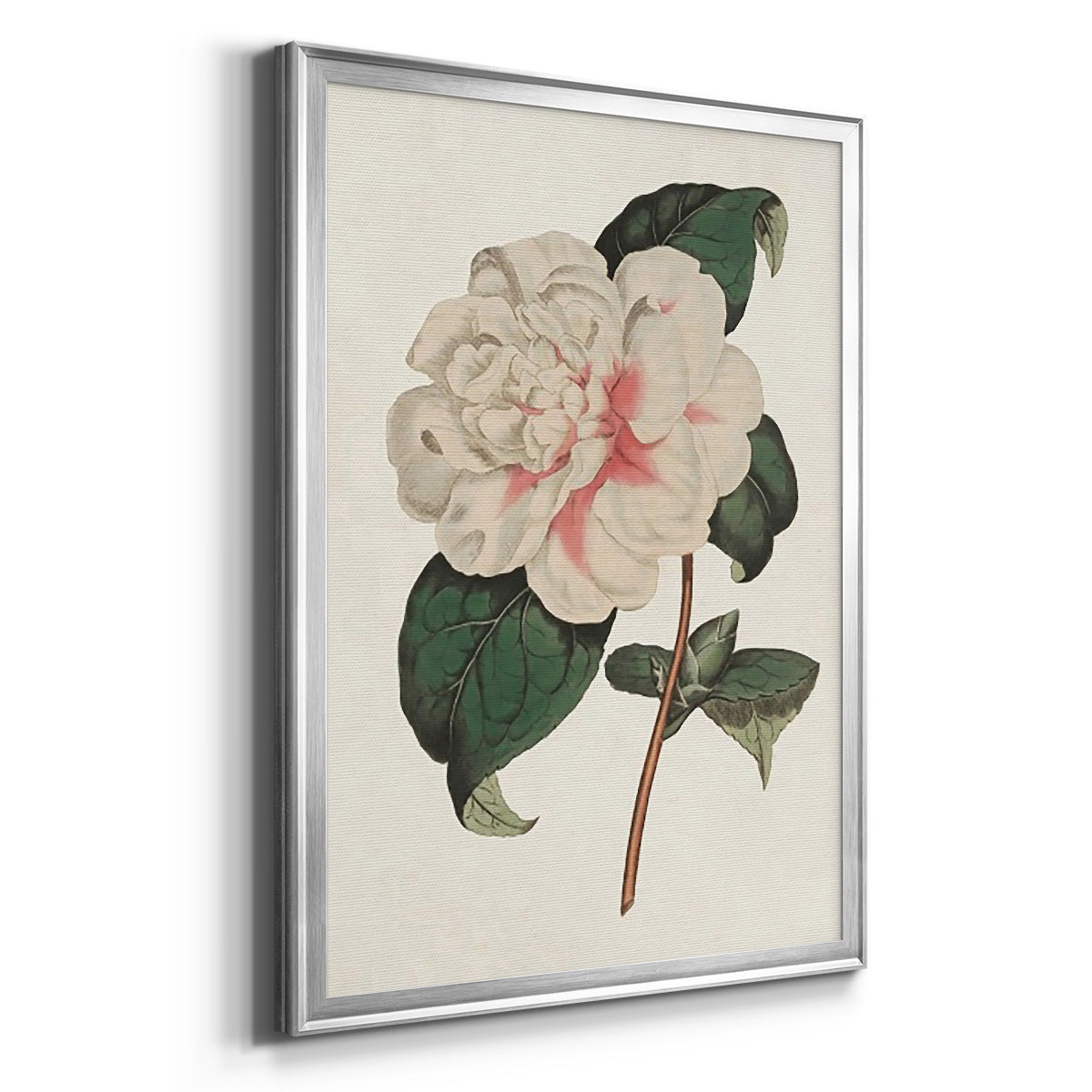 Pink Floral Mix VIII Premium Framed Print - Ready to Hang