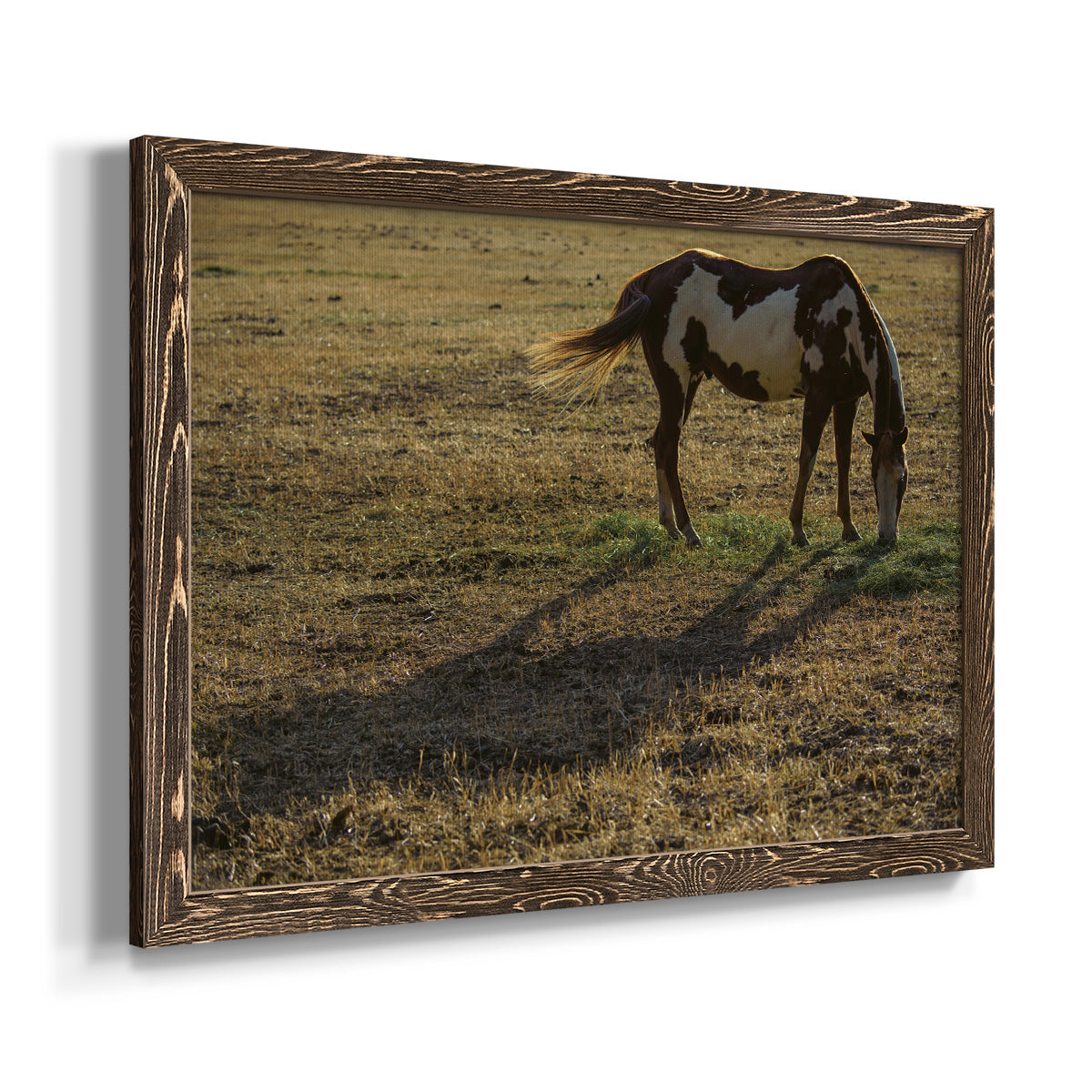 Long Shadow-Premium Framed Canvas - Ready to Hang