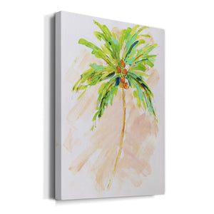 Coconut Palm II Premium Gallery Wrapped Canvas - Ready to Hang