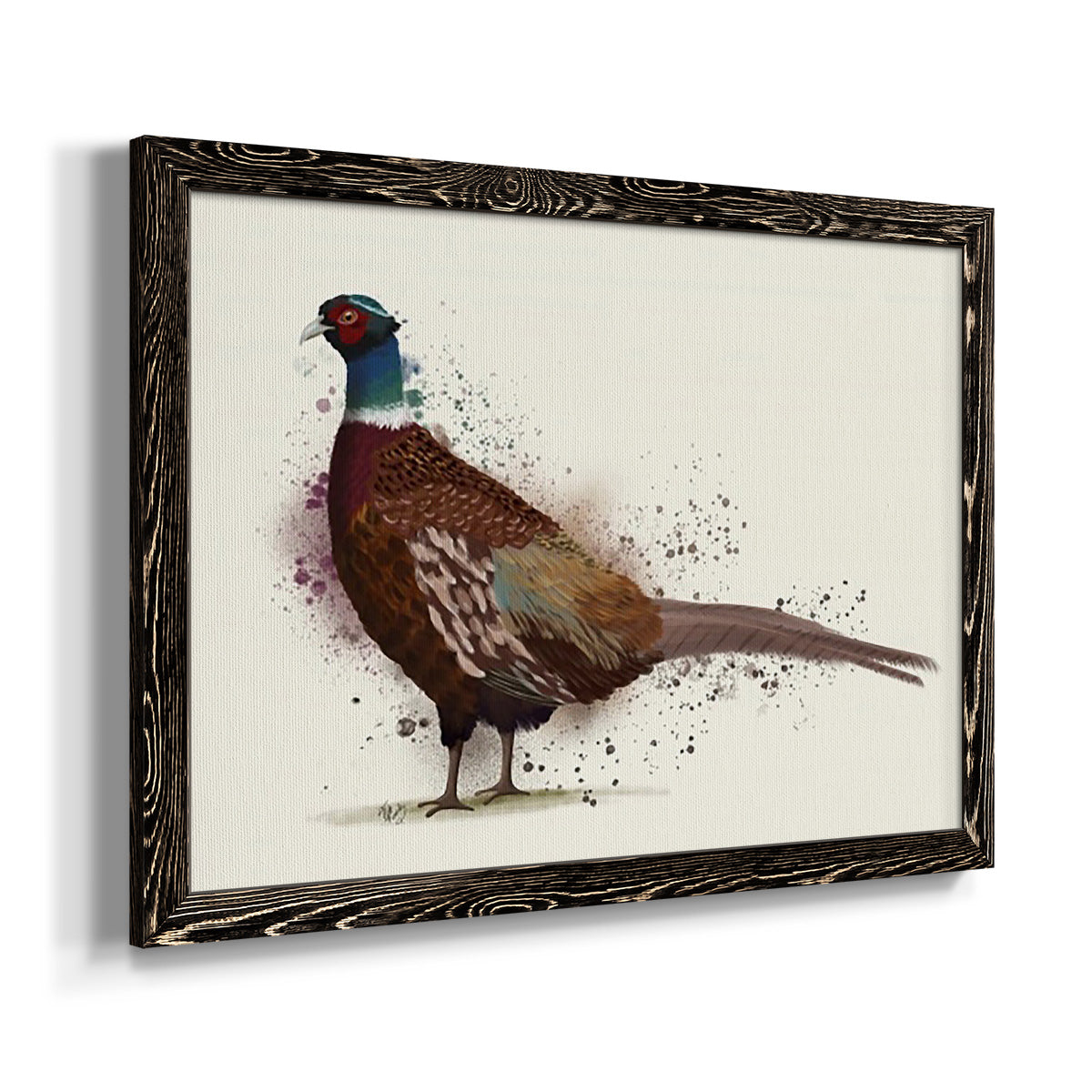 Pheasant Splash 1-Premium Framed Canvas - Ready to Hang