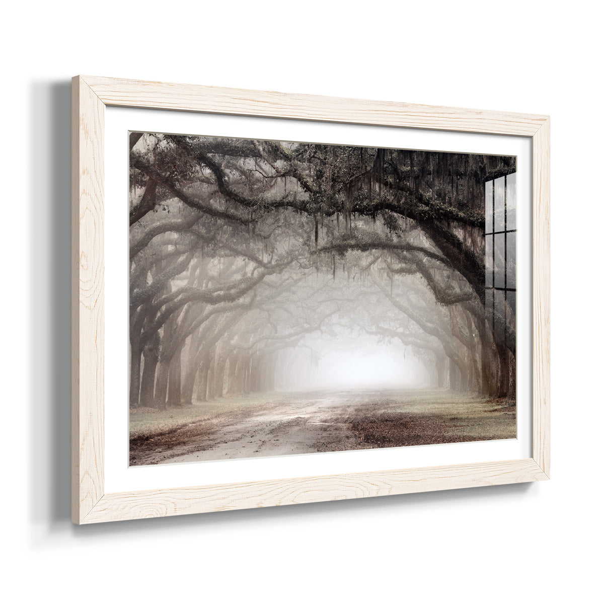 Timeless Plantation Drive-Premium Framed Print - Ready to Hang