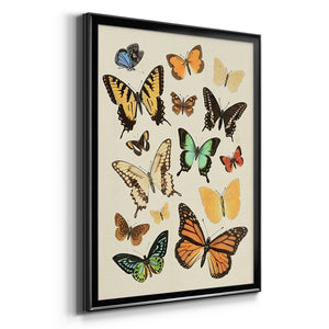 Collected Flutter I Premium Framed Print - Ready to Hang