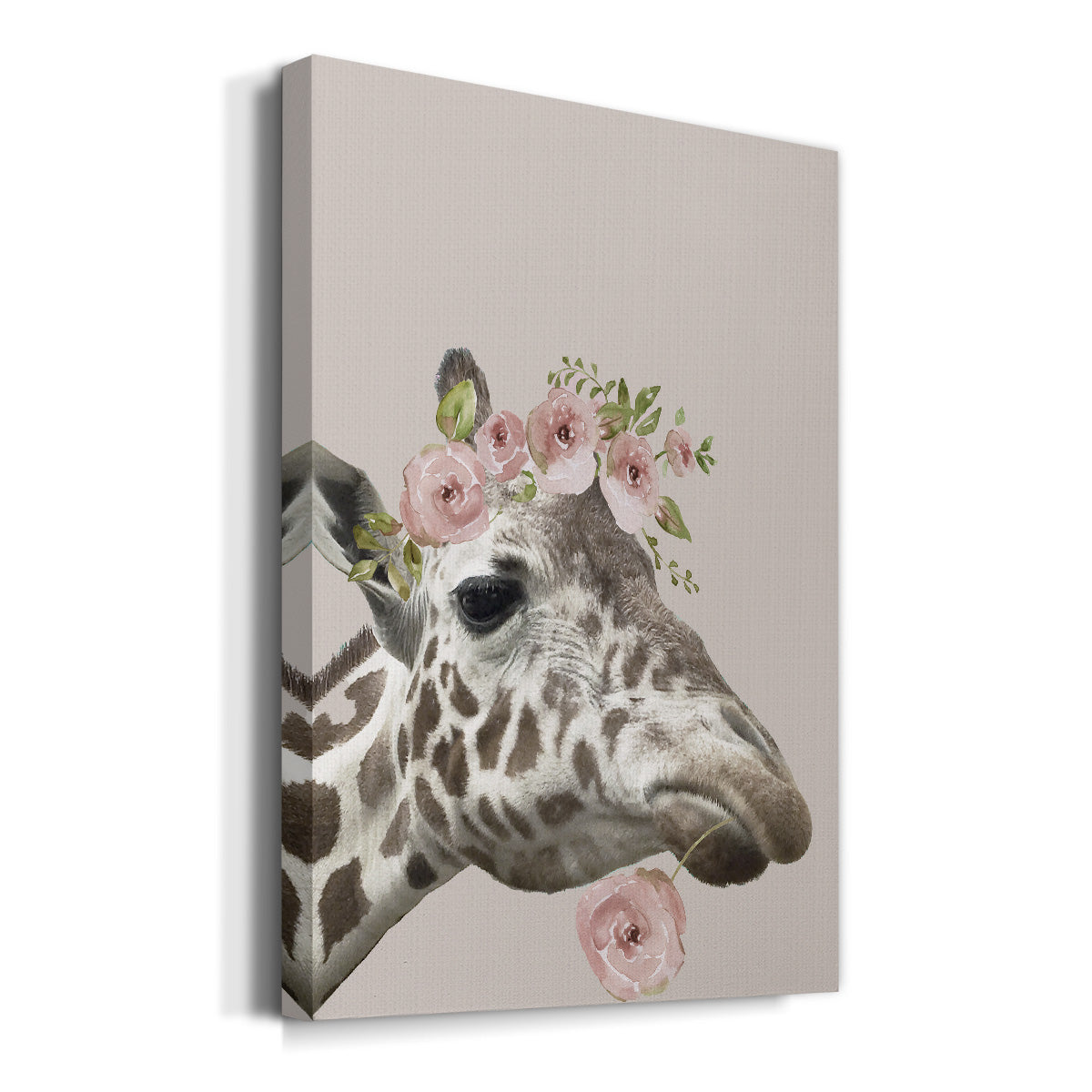 Peek A Boo Giraffe II Premium Gallery Wrapped Canvas - Ready to Hang