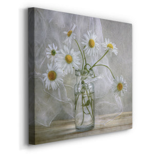Daisies - Canvas Art Print