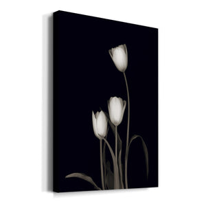 Tulip Pose III Premium Gallery Wrapped Canvas - Ready to Hang