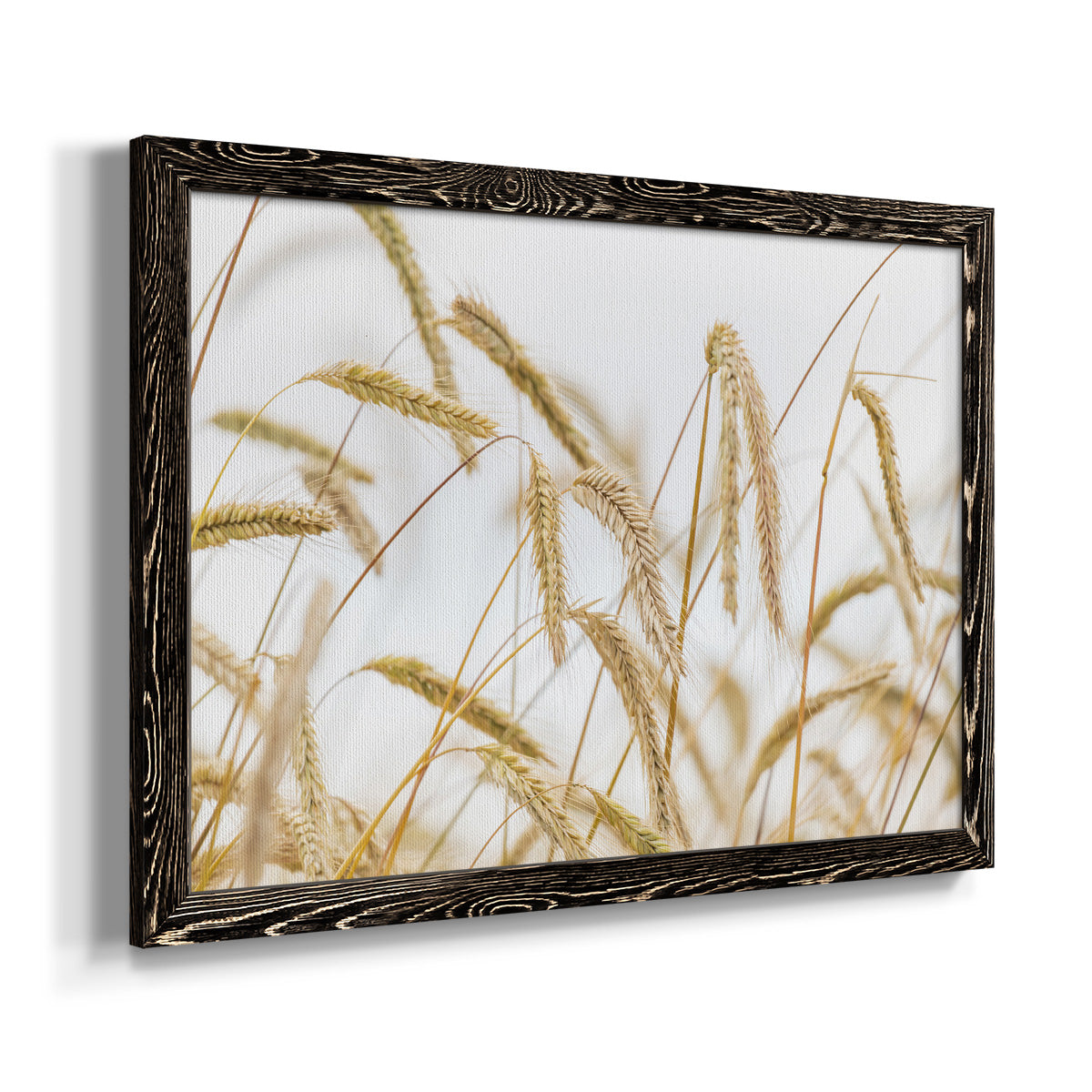 Wheat-Premium Framed Canvas - Ready to Hang