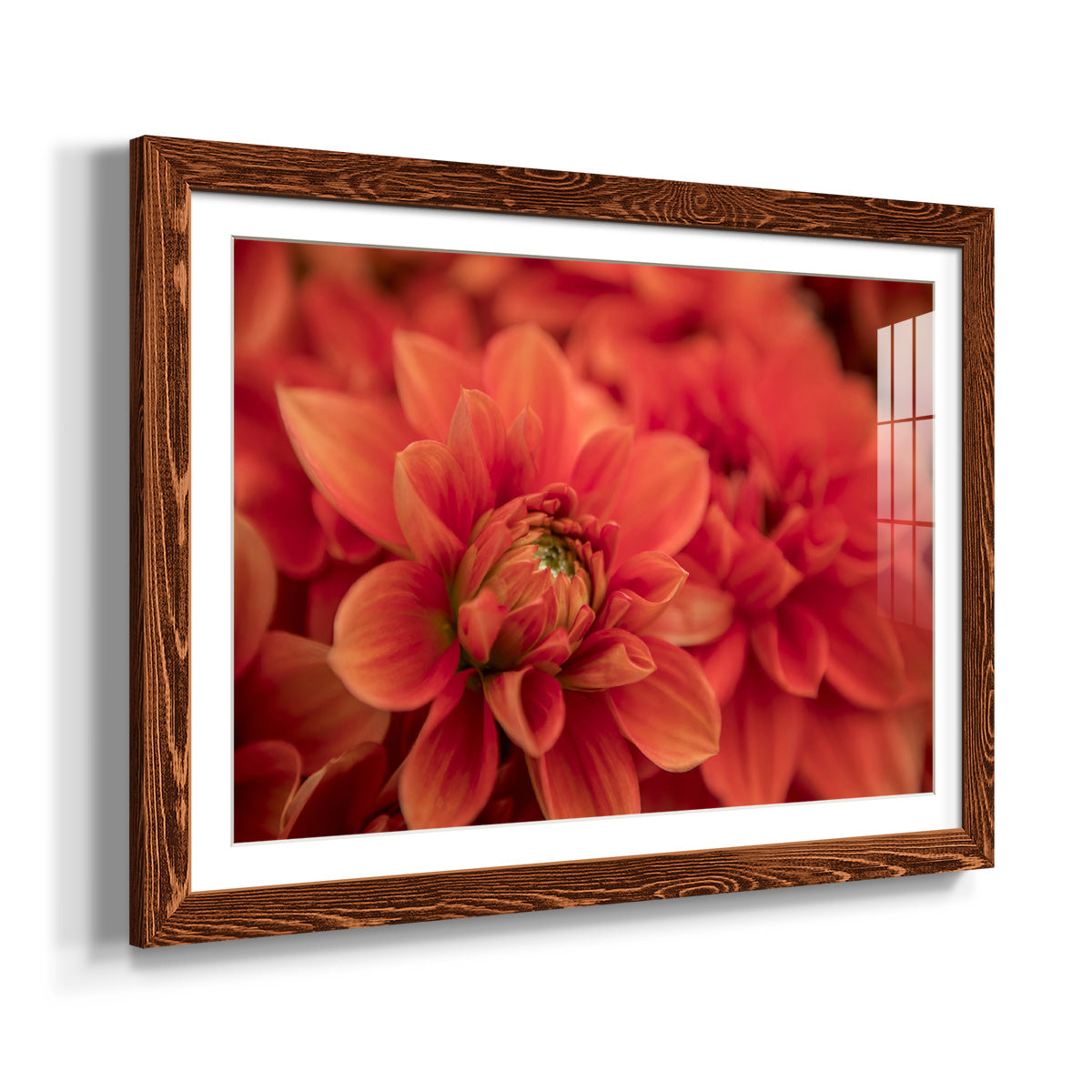Spring Fire-Premium Framed Print - Ready to Hang