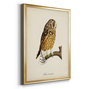 French Owls II Premium Framed Print - Ready to Hang