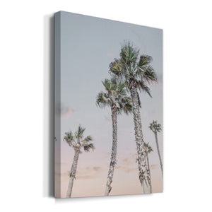 Palms Up Premium Gallery Wrapped Canvas - Ready to Hang