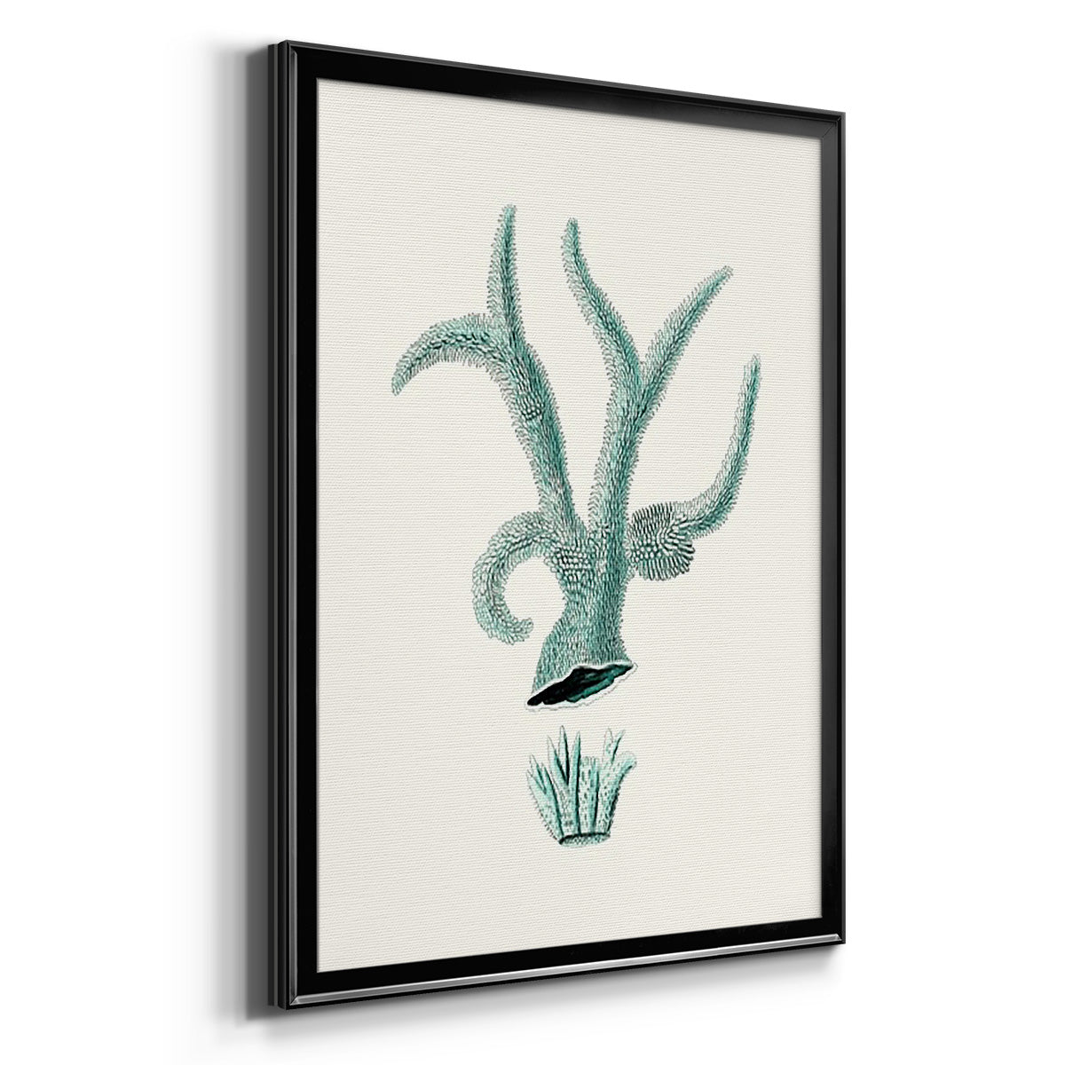Antique Coastal Coral XII Premium Framed Print - Ready to Hang